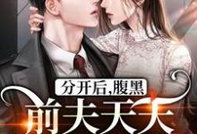 完结版《分开后,腹黑前夫天天哭着求复合》章节阅读-美文小说
