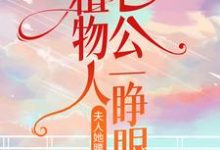 植物人老公一睁眼,夫人她腰酸了这本小说完结了吗?免费查看最新章节-美文小说