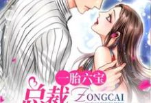 小说《一胎六宝:总裁用力过猛》在线章节阅读-美文小说