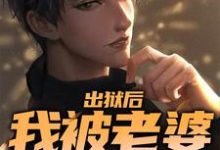 出狱后，我被老婆背刺了章节免费在线阅读， 叶青白若若完结版-美文小说