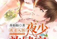 求诱妻入怀:夜少,放肆宠小说的全文免费阅读链接-美文小说