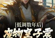 哪里能找到低调数年后,废物皇子震惊朝堂大佬小说的最新更新和免费章节?-美文小说