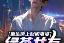 小说《重生傍上财阀老婆,绿茶女友悔哭》章节免费阅读-美文小说