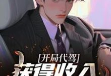 开局代驾,获得收入十万倍奖励!小说最新更新在哪里?免费在线看-美文小说