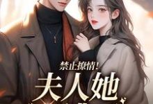 禁止撩情!夫人她又逃了小说,禁止撩情!夫人她又逃了江柒茗贺政屿-美文小说