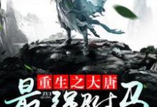 重生之大唐最强驸马房遗爱高阳秦京娘小说完结版章节在线阅读-美文小说