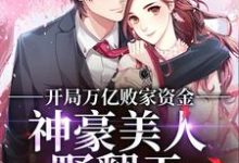 开局万亿败家资金，神豪美人野翻天最新章节，开局万亿败家资金，神豪美人野翻天免费阅读-美文小说