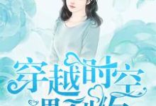 穿越时空遇到你辛叶梓李世吴楠,穿越时空遇到你章节在线阅读-美文小说