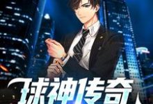 求球神传奇：进球无极限小说的全文免费阅读链接-美文小说