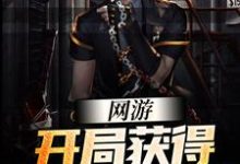 网游:开局获得SSS级天赋小说最新更新在哪里?免费在线看-美文小说