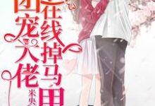 团宠大佬在线掉马甲最新章节，团宠大佬在线掉马甲免费阅读-美文小说