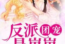 反派团宠是崽崽宁团团系统,反派团宠是崽崽在线无弹窗阅读-美文小说