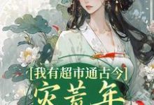 我有超市通古今,灾荒年救了全城温浅浅战澈小说在线章节目录阅读最新章节-美文小说