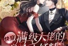 求快穿:满级大佬的偏执小妖精小说的全文免费阅读链接-美文小说