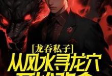 龙吞私子:从风水寻龙穴开始改命小说全文阅读需要付费吗?寻找免费资源-美文小说