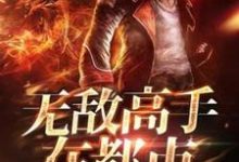 无敌高手在都市小说全文哪里可以免费看?-美文小说