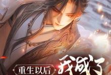 重生以后,我成了神雕侠杨过杨过小说完结版章节在线阅读-美文小说