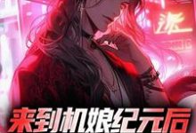 苏年星辰小说在线章节免费阅读(来到机娘纪元后,我杀疯了无弹窗无删减)-美文小说