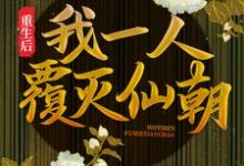 《重生后,我一人覆灭仙朝》全集免费在线阅读(秦云袁诗诗)-美文小说