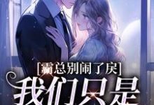 《霸总别闹了,我们只是契约婚礼》小说岑若齐放章节章节免费在线阅读-美文小说