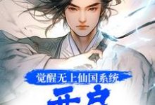 觉醒无上仙国系统,开启逆袭人生这本小说怎么样?免费在线阅读试试-美文小说