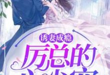 诱妻成瘾:厉总的心尖宠这本小说完结了吗?免费查看最新章节-美文小说