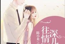 哪里能找到一往情深深几许小说的全部章节？-美文小说