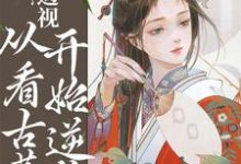 哪里可以免费找到透视:从看古董开始逆袭?-美文小说