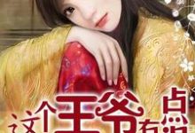 这个王爷有点混这本小说怎么样?免费在线阅读试试-美文小说