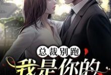 《总裁别跑,我是你的命定女人》小说陈池舒欣柔章节章节免费在线阅读-美文小说
