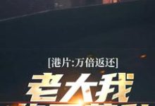 《港片:万倍返还,老大我绝不藏私》全集免费在线阅读(叶霆)-美文小说