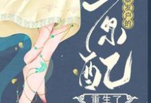 《暴发户的原配重生了》小说孙丽芳周允石章节章节免费在线阅读-美文小说