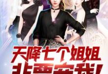 王术莫向晚白吟霜沈冰小说天降七个姐姐非要宠我!在线阅读-美文小说