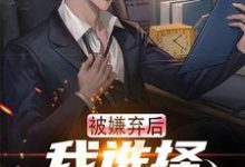 被嫌弃后,我选择离家跑路这本小说在哪里可以看?哪里有免费试读章节?-美文小说