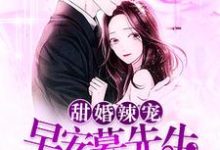 小说《甜婚辣宠：早安，慕先生》章节免费阅读-美文小说