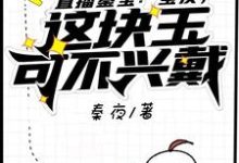 直播鉴宝:宝友,这块玉可不兴戴秦夜罗小玲,直播鉴宝:宝友,这块玉可不兴戴章节在线阅读-美文小说