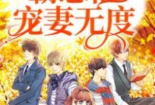 哪里能找到一见钟情:霸总他宠妻无度小说的全部章节?-美文小说