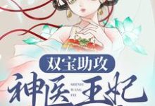 双宝助攻：神医王妃太难追小说全文哪里可以免费看？-美文小说