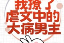 为了活命，我撩了虐文中的大病男主小说全文阅读需要付费吗？寻找免费资源-美文小说