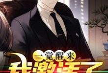 哪里能找到一觉醒来,我激活了祝由术小说的最新更新和免费章节?-美文小说