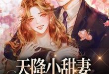 天降小甜妻:偏执大佬抱着哄小说的免费电子版在哪里可以下载或阅读?-美文小说