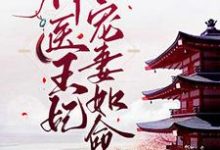 苏汐月凤卿绝小说神医王妃:皇叔宠妻如命章节免费阅读-美文小说