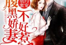 求纸约蜜宠：腹黑娇妻不好惹小说免费资源-美文小说