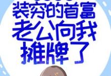 闪婚超甜：装穷的首富老公向我摊牌了小说，闪婚超甜：装穷的首富老公向我摊牌了苏恩明燕-美文小说