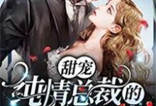《甜宠:纯情总裁的野蛮小娇妻》小说大结局免费试读 顾如一林霆小说-美文小说