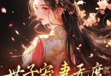 《世子宠妻无度：弃妇翻身记》小说章节在线试读，《世子宠妻无度：弃妇翻身记》最新章节目录-美文小说