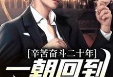 完结版《辛苦奋斗二十年,一朝回到了从前》在线免费阅读-美文小说