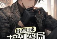 出差归来,接到警局电话赎老婆小说免费资源,出差归来,接到警局电话赎老婆在线阅读-美文小说