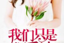 完结版《我们只是深爱过》章节目录在线阅读-美文小说