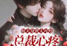 沐清歌叶南星小说完结版在线阅读,娇夫身世太可怜,总裁心疼按墙亲免费看-美文小说